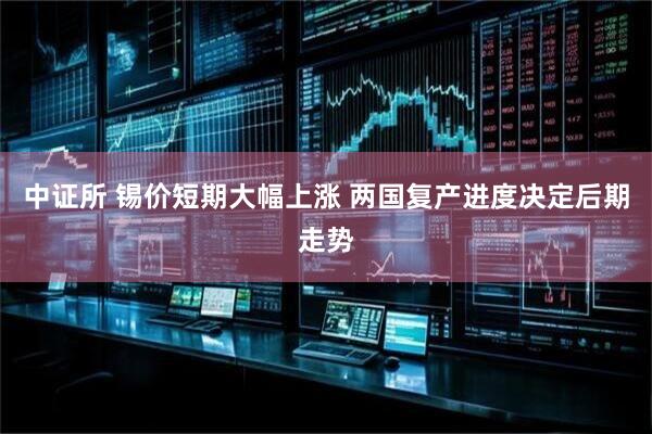 中证所 锡价短期大幅上涨 两国复产进度决定后期走势