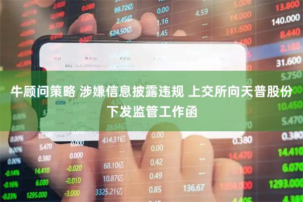 牛顾问策略 涉嫌信息披露违规 上交所向天普股份下发监管工作函