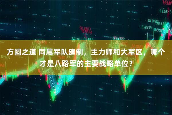 方圆之道 同属军队建制，主力师和大军区，哪个才是八路军的主要战略单位？