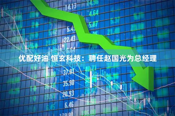 优配好油 恒玄科技：聘任赵国光为总经理
